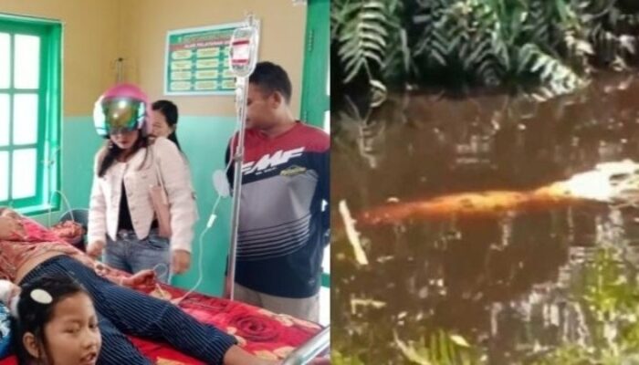 Tragedi Subuh di Sungai Kalteng: Nenek Terseret Buaya Saat Ambil Wudhu