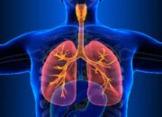 Bulukumba Laporkan 375 Penderita TBC