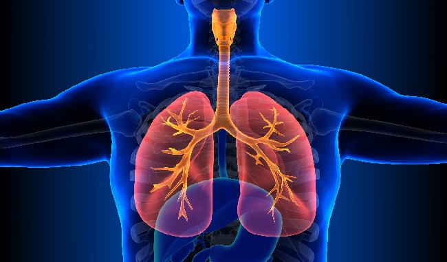 Dinas Kesehatan Bulukumba laporkan 375 penderita TBC (Tuberclosis) di daerah tersebut per Juni 2025.