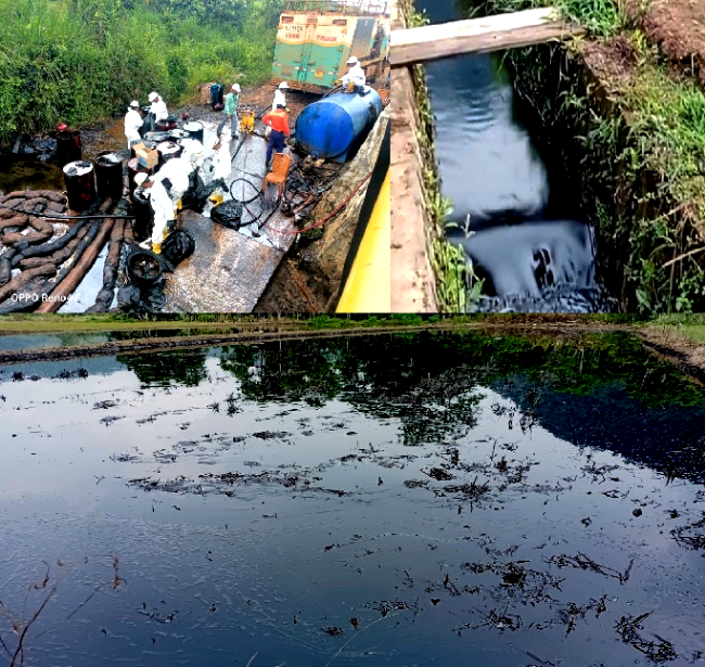 Pipa Bocor, Gubernur Tegaskan PT Vale Harus Bertanggung Jawab terhadap pencemaan lingkungan dan sawah warga