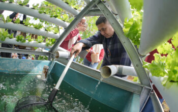 6.000 RT akan Melaksanakan Urban Farming di Makassar atau bercocok tanam di Kota Makassar sebagai bentuk adaptasi keterbatasan lahan