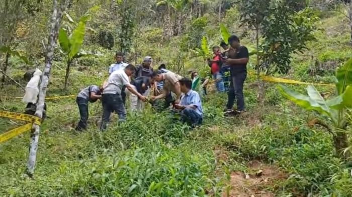 Polres Bulukumba tangkap pemilik ladang ganja di Kindang, Bulukumba, Sulawesi Selatan, Selasa (2/9/2025). Pria menjalalani pemeriksaan