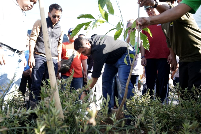 Jelang Musyawarah Pelayanan, GBIP Tanam 1000 Pohon Tabebuya sebagai rangkaian kegiatan musyawarah pelayanan