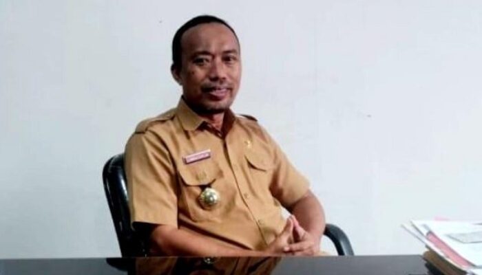 Pengurusan NIB Di Sinjai Terganggu