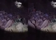 Longsor Latuppa Timbun 3 Motor