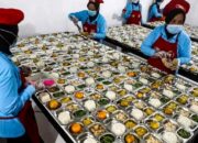 Kabar Gembira, Pegawai SPPG MBG akan Diangkat Menjadi PPPK