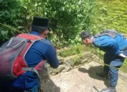 Damkar Maros Evakuasi Dua Ular Berbisa