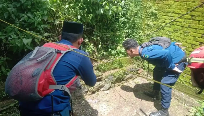 Damkar Maros Evakuasi Dua Ular Berbisa