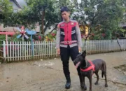 Anjing Pelacak Cari Korban Pesawat ATR 42-500