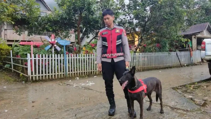 Tim SAR Gabungan turunkan anjing pelacak cari korban pesawat ATR 42-500 di kawasan Gunung Bulusaraung, Pangkep, Rabu (21/1/2026)