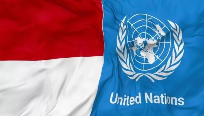 Indonesia Resmi Menjadi Presiden Dewan HAM PBB