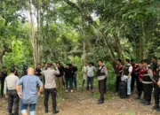 Dua Kali Polisi Gagal Ringkus Pejudi Sabung Ayam Di Bulukumba