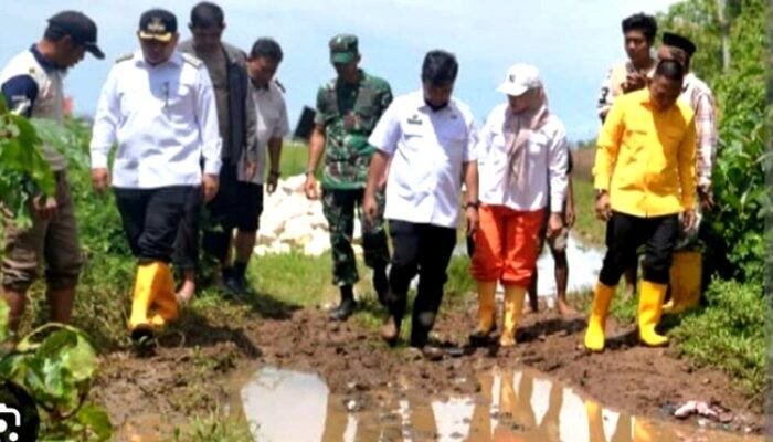 Pemkot Makassar Alokasikan Rp 4 Miliar Perbaikan Jalan Romang Tangayya