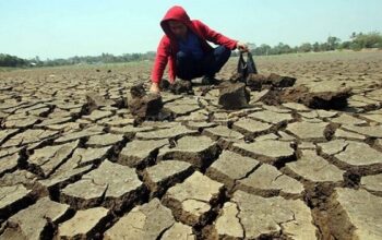 Kabupaten Maros mulai memasuki peralihan musim atau pancaroba. BMKG prakirakan kemarau lebih cepat dari tahun sebelumnya