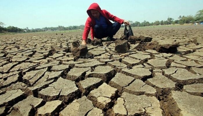 BMKG Prakirakan Musim Kemarau Lebih Cepat