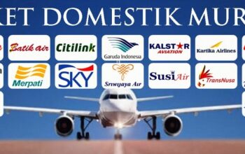 Menteri Keuangan mengeluarkan kebijakan baru, pemerintah tanggung PPN pesawat untuk tiket pesawat domestik kelas ekonomi