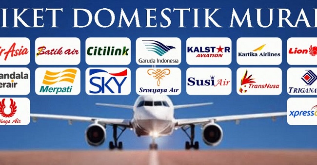 Menteri Keuangan mengeluarkan kebijakan baru, pemerintah tanggung PPN pesawat untuk tiket pesawat domestik kelas ekonomi