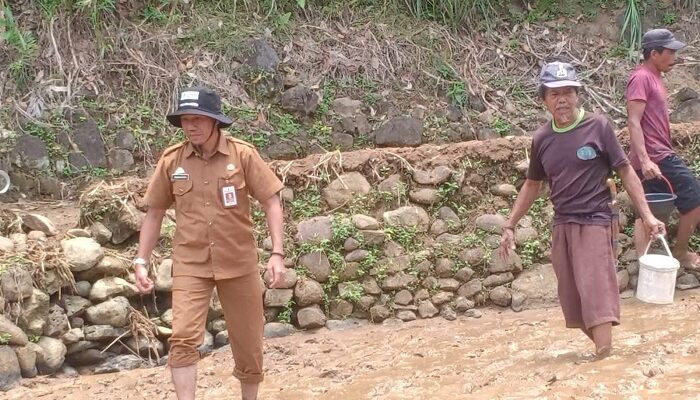 Pemkab Sinjai Percepat Masa Tanam
