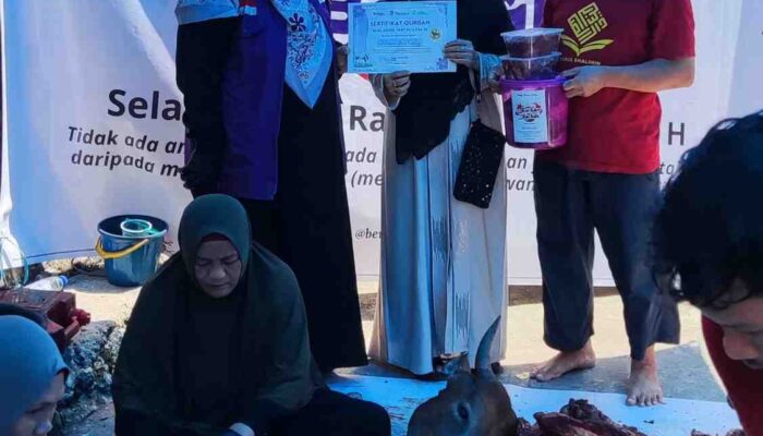 Pondok Tahfidz Darus Shalihin Maros Gelar Pemotongan Hewan Kurban