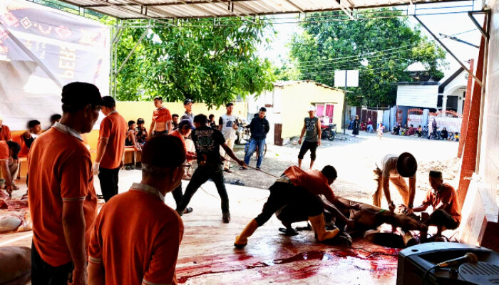 Jemaah MJF dan Warga Telkomas Sembelih 13 Sapi, 2 Kambing