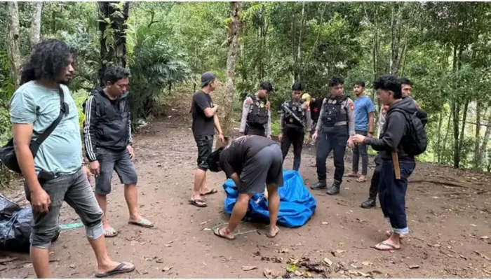 Polres Sinjai Gagal Bekuk Pelaku Sabung Ayam