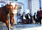 7.261 Sapi dan 402 Ekor Hewan Kurban di Makassar