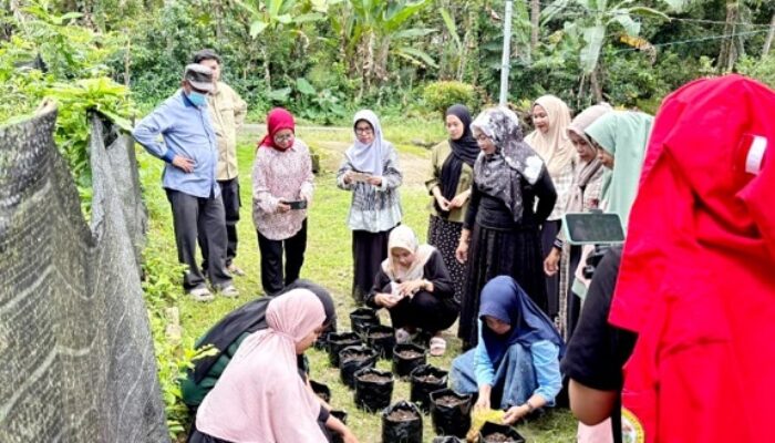 IRT Bulukumba Pelatihan Budidaya Bawang Merah Berbasis Biostimulan Air Kelapa