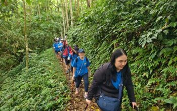 PT Federal International Finance atau FIFGROUP lakukan Hike and Heal 2026. Dalam trekking itu karyawan berhasil kumpulkan 240 kilogram sampah