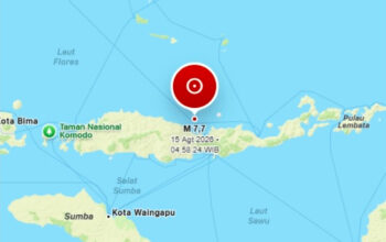 Gempa Dahsyat Mengguncang Flores dengan Gempa bumi tektonik dahsyat dengan Magnitudo 7,7 di Flores Nusa Tenggara Timur