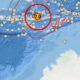 BMKG Akhiri Peringatan Dini Tsunami Gempa di Flores