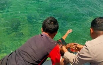 Warga Bonto Bahari, Bulukumba, terseret ombak saat mencari kayu bakar di kawasan galangan kapal Pinisi, Rabu (23/9/2026)